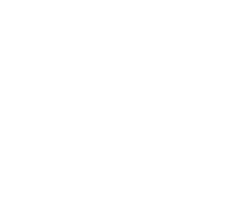 Morgan Hide - Tauranga based Photographer