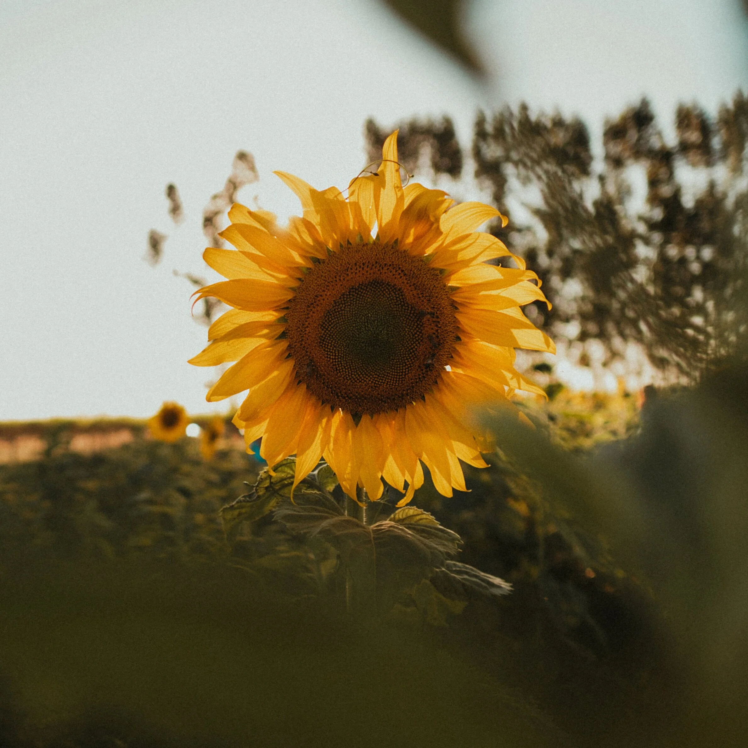 Is Therapy Right for Me?