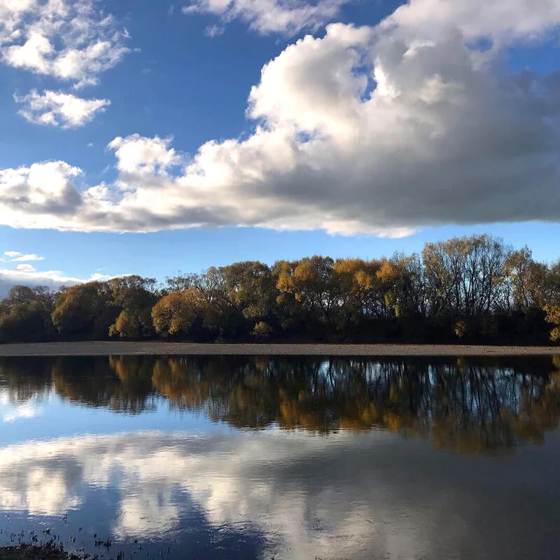 Standing on the banks of the Ruamahanga River