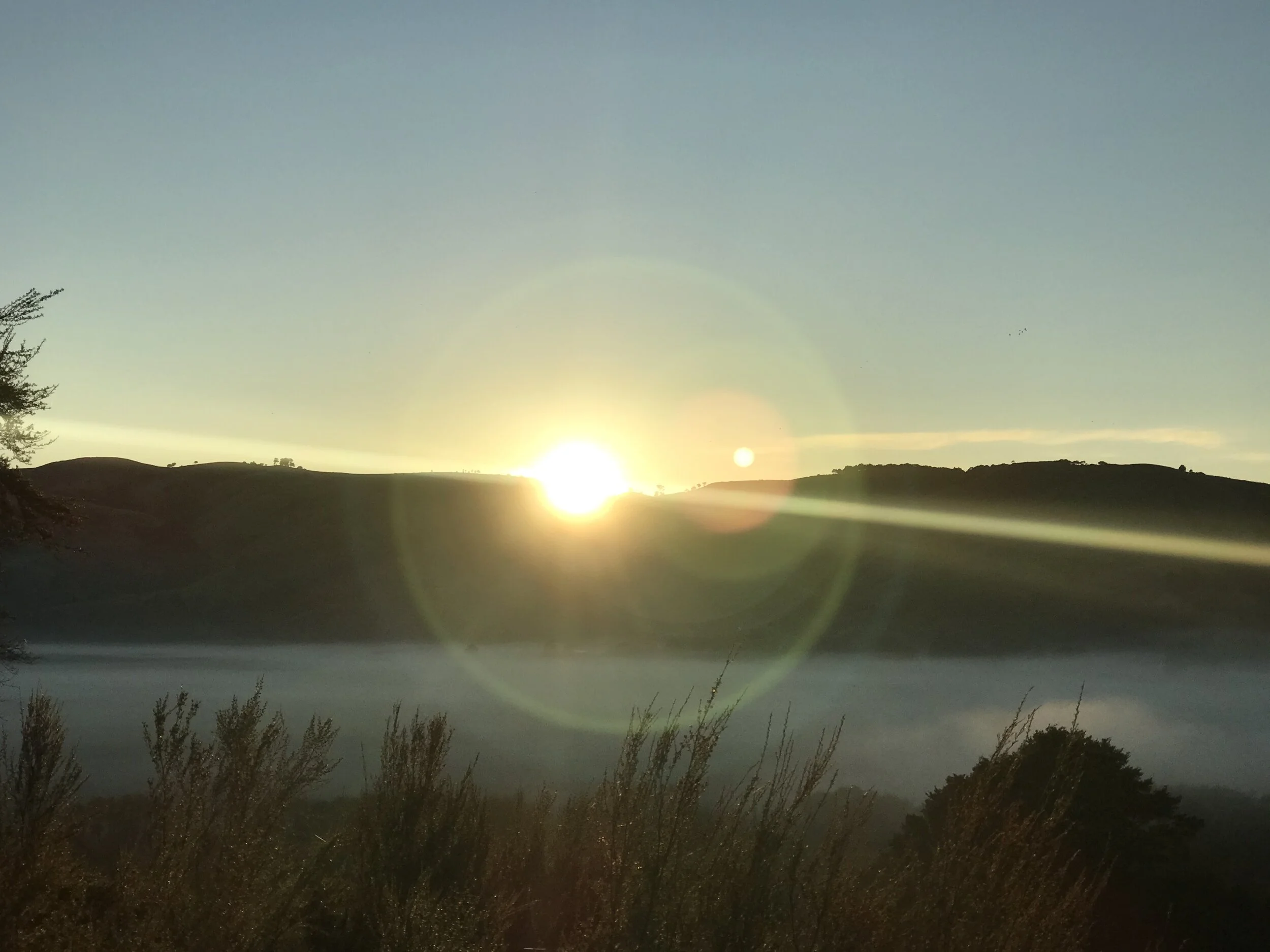 The Land of the Living