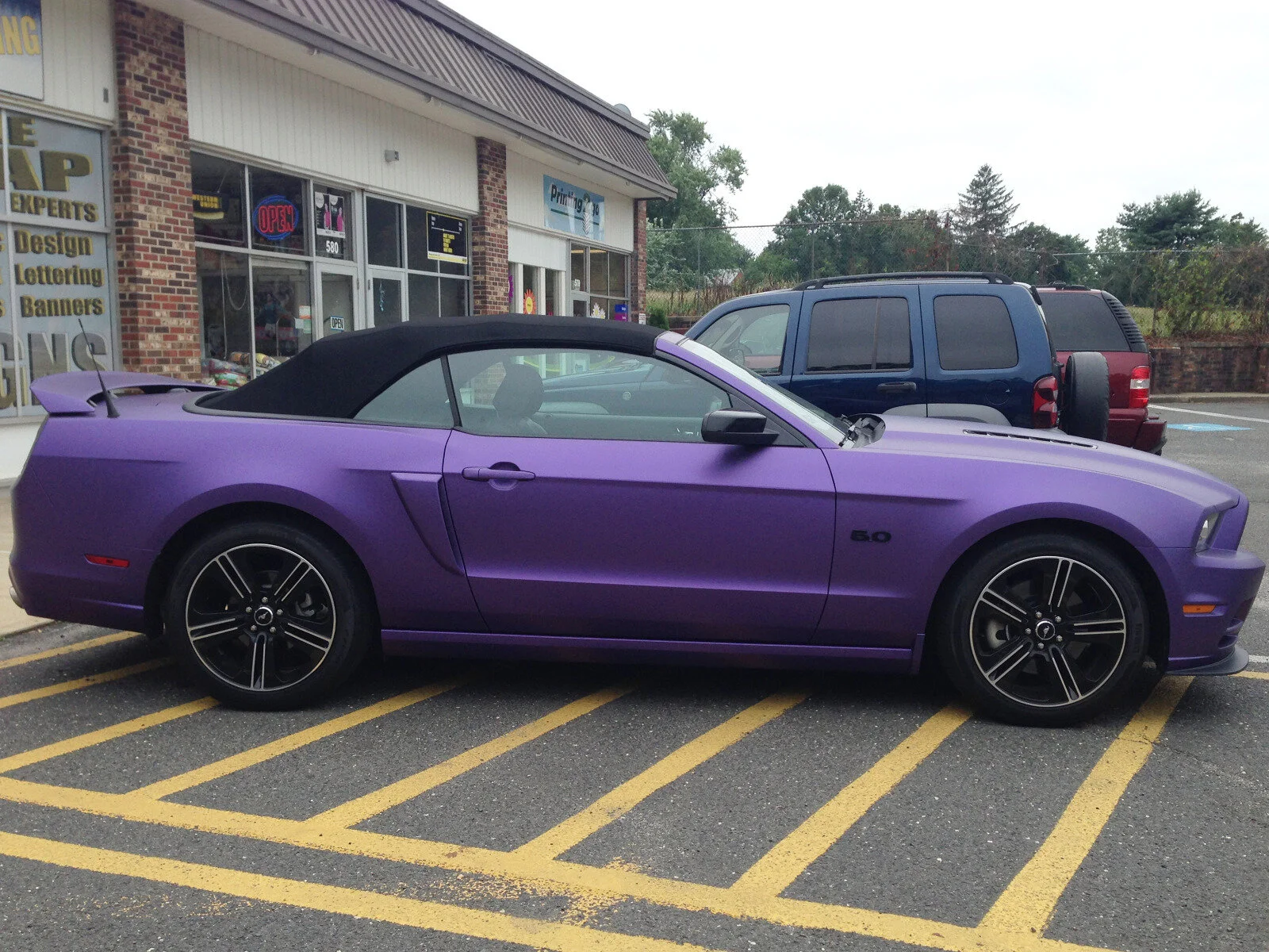 85986324a19d0bc5-photo51.jpg