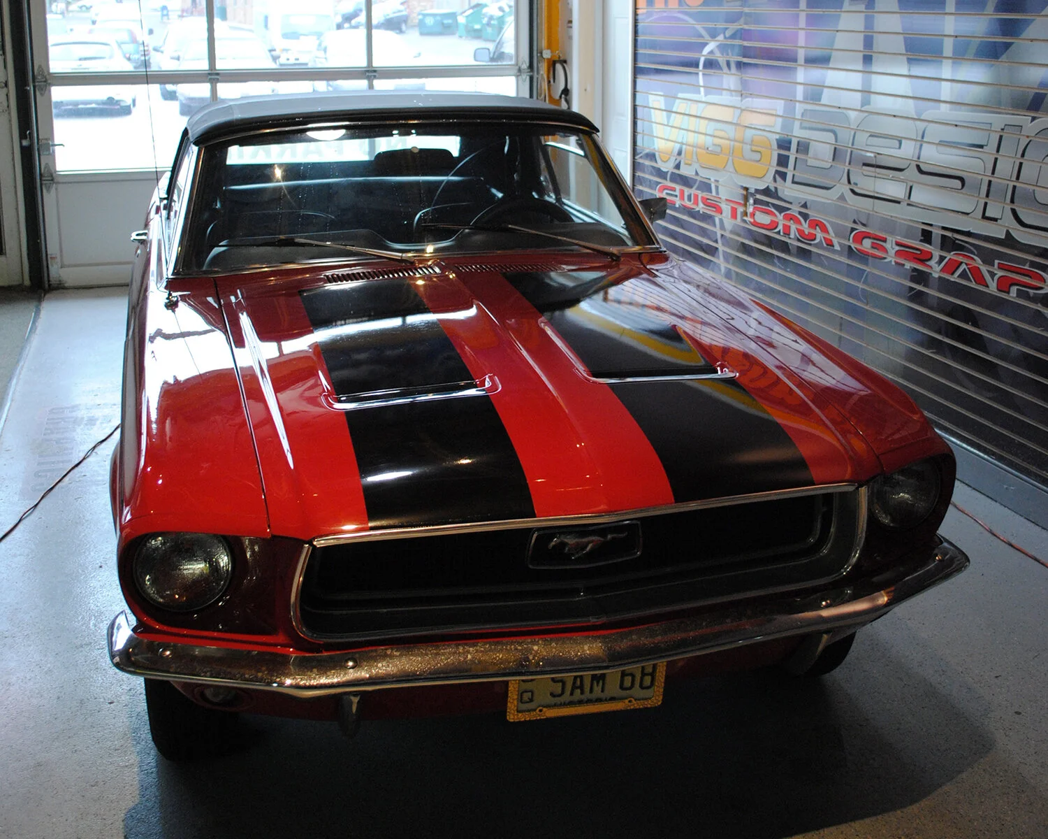 DSC_0366.jpg