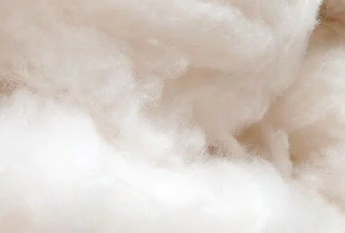 New Zealand Wool Varieties And Their Usage — Knight of New Zealand