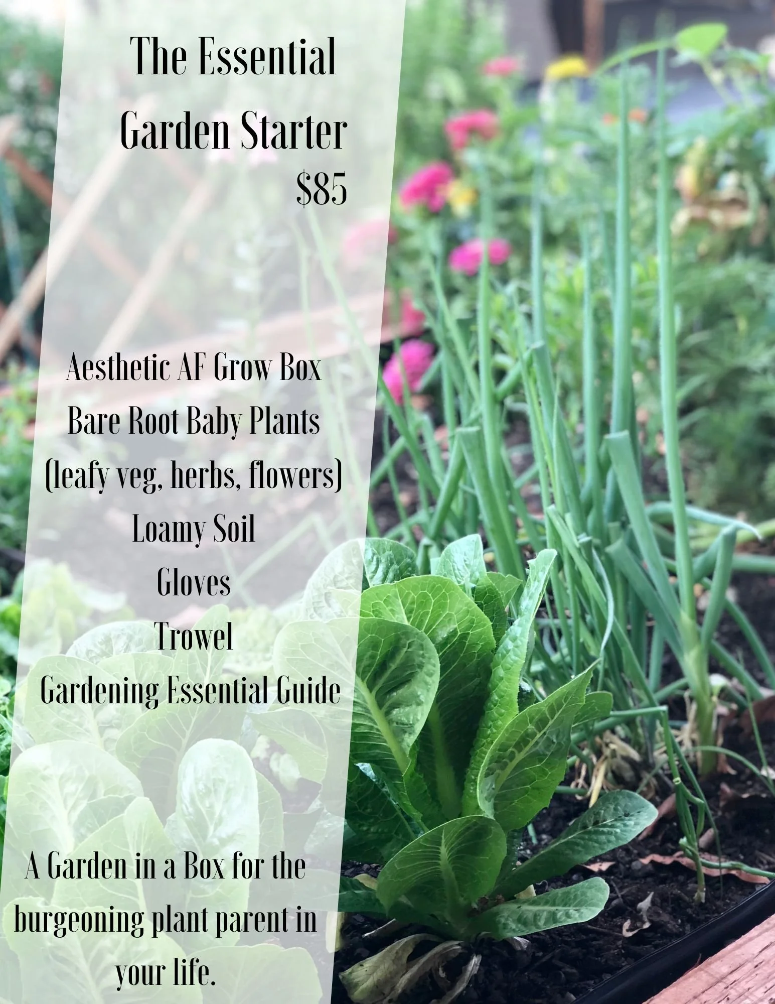 The Essential Garden Starter — The Ranch Houston
