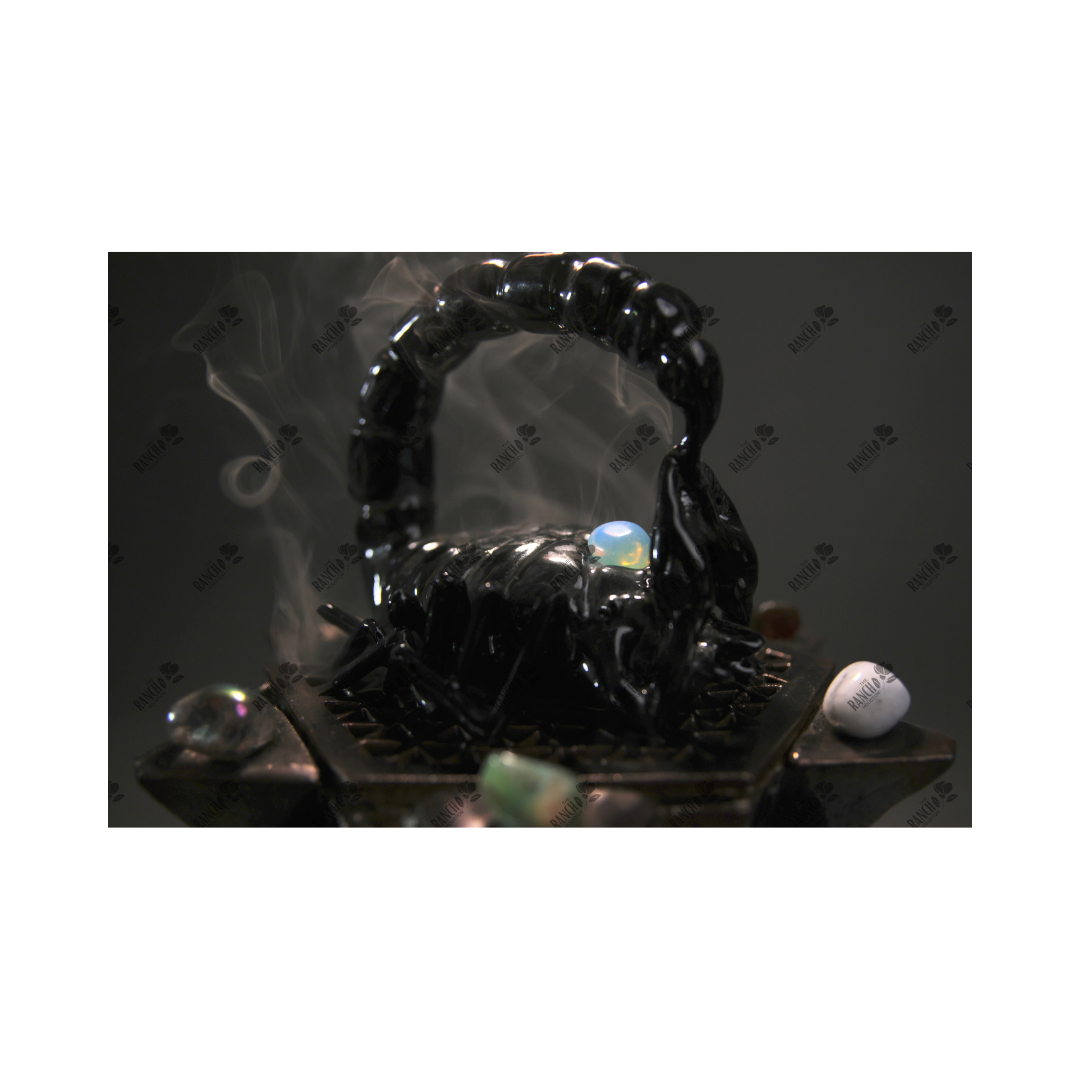 Scorpio with Smoke -- Fine Art Print