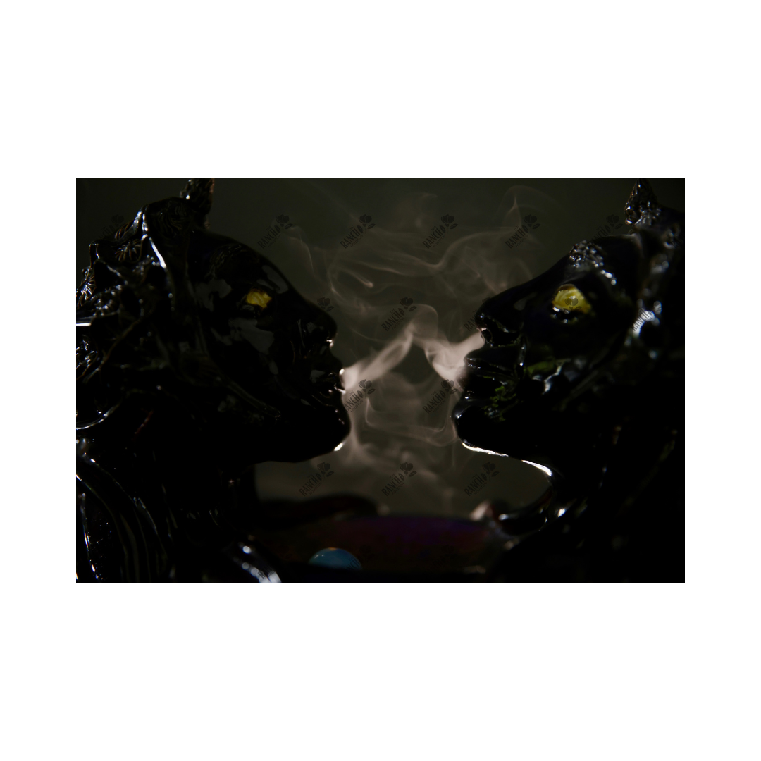 Gemini with Smoke -- Fine Art Print