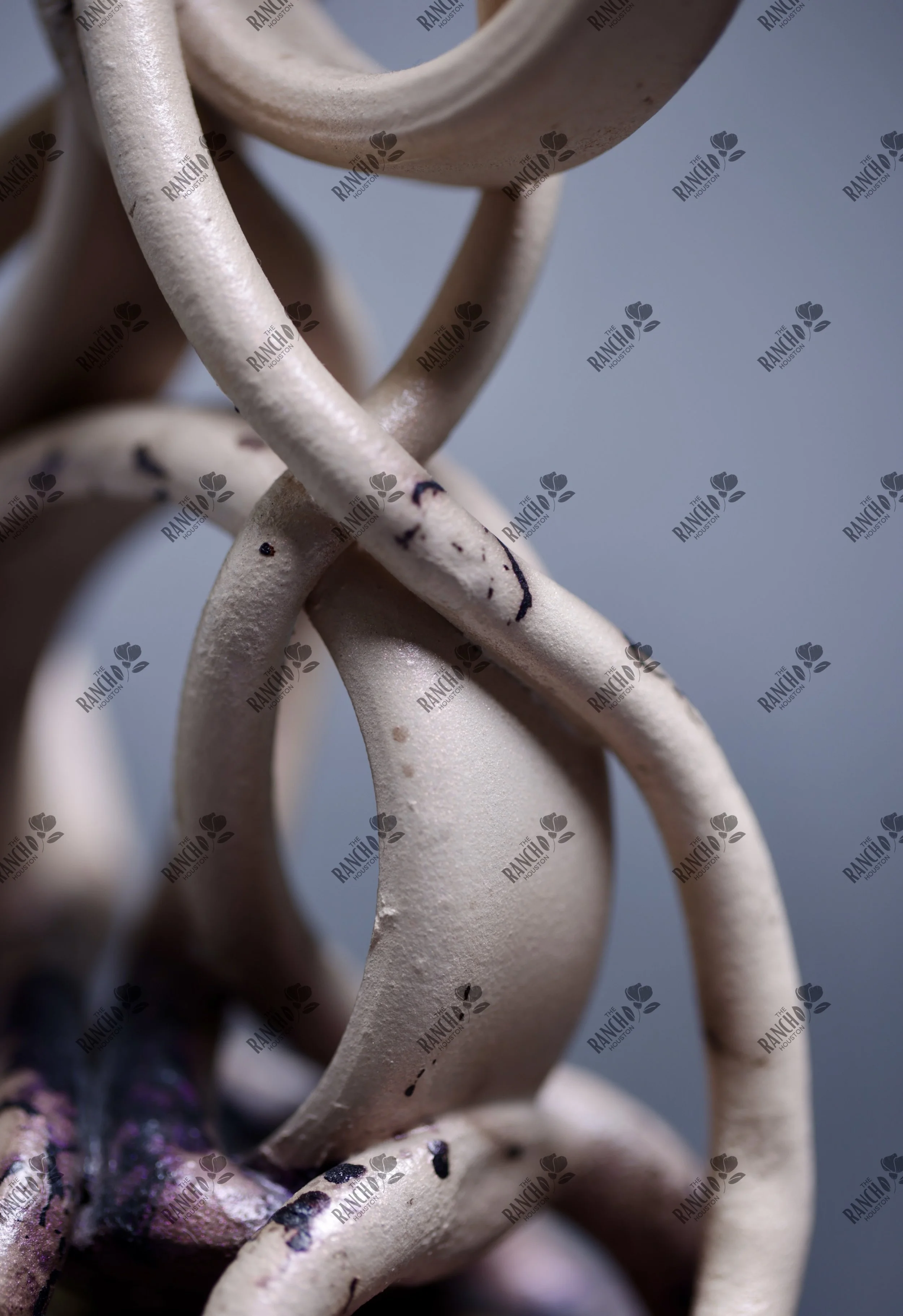 Turn Up for What?6.JPG