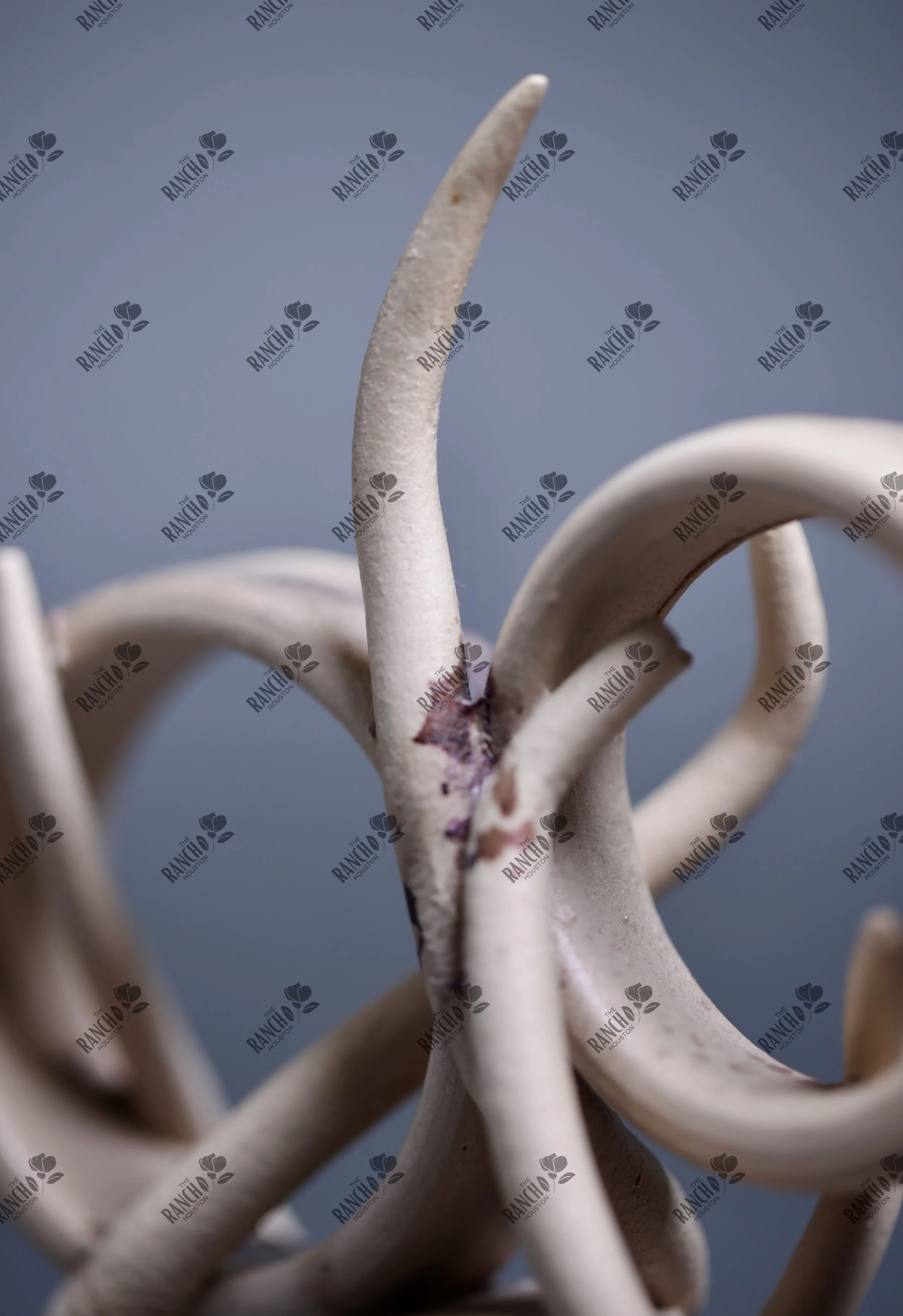 Turn Up for What?2.JPG