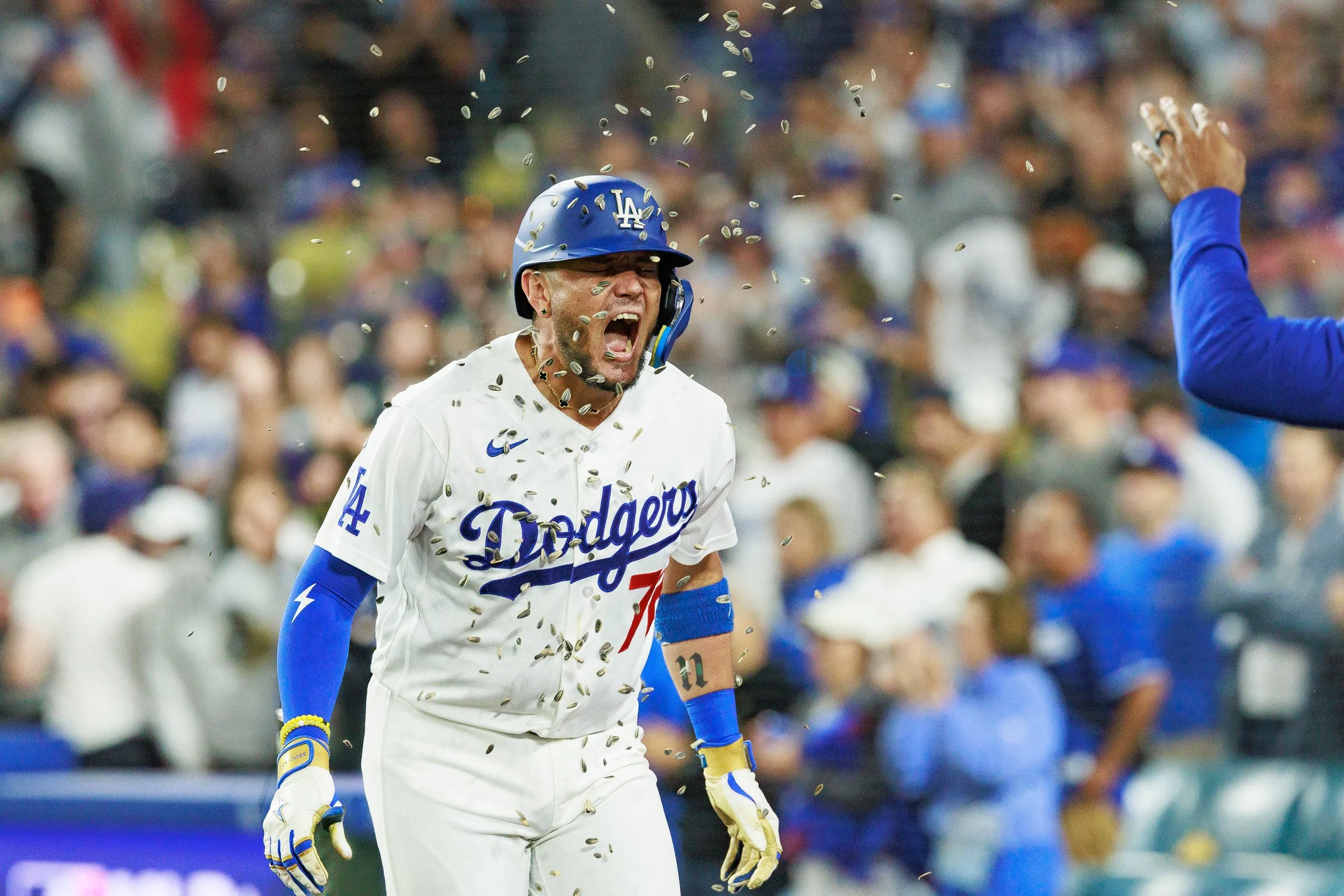 20260615_Imagn_Rays_atDodgers_3161.jpg