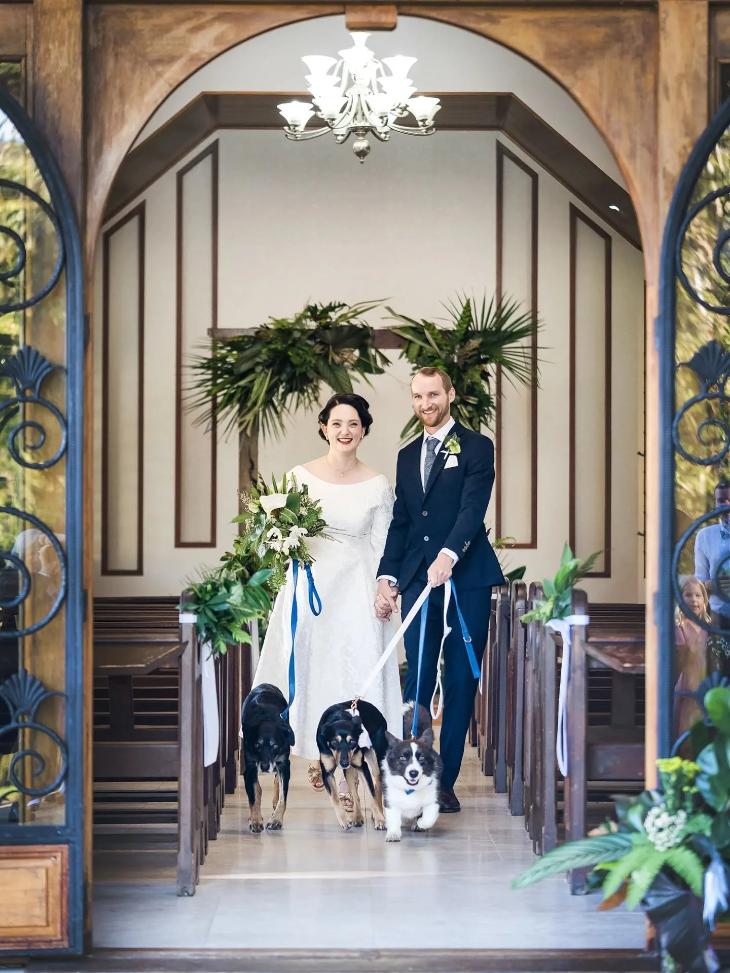 If you&rsquo;re dreaming of a wedding where your fur babies can trot down the aisle too, you&rsquo;re in the right place. We are seriously lucky on the Sunshine Coast because so many of our top venues are pet friendly. Think gorgeous ceremony spots a