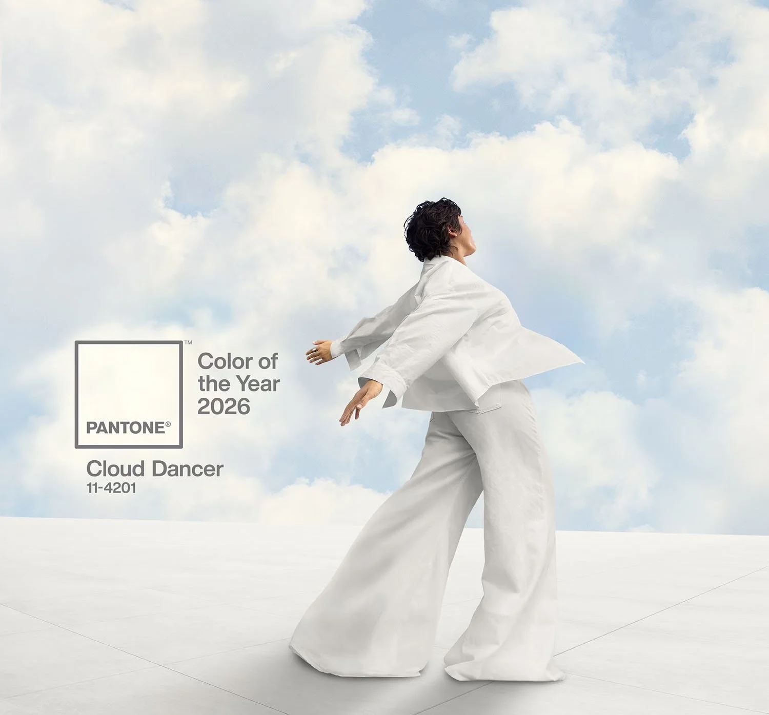 2026 colour of the year