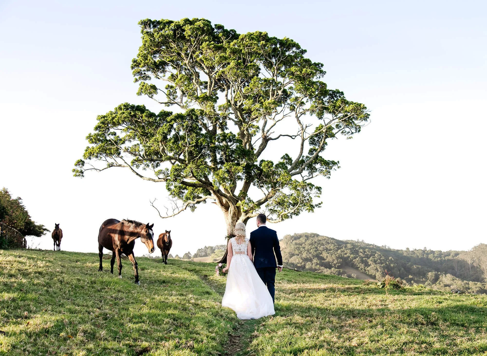 Sunshine Coast counrty wedding venue