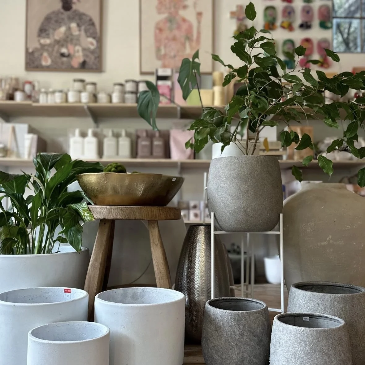 Pots & Vases for sale in Homeware shop