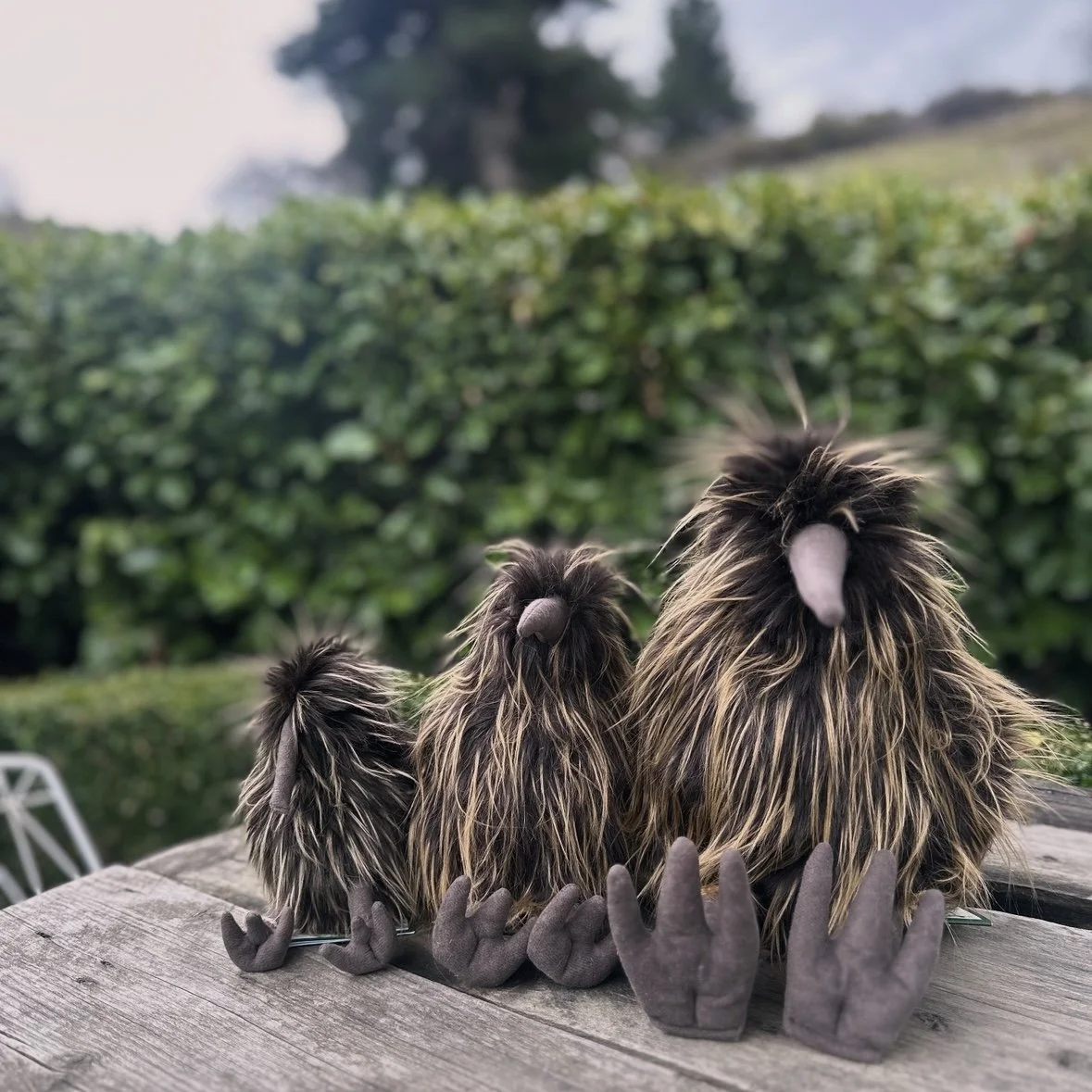 NZ Made Kiwi Bird Toys