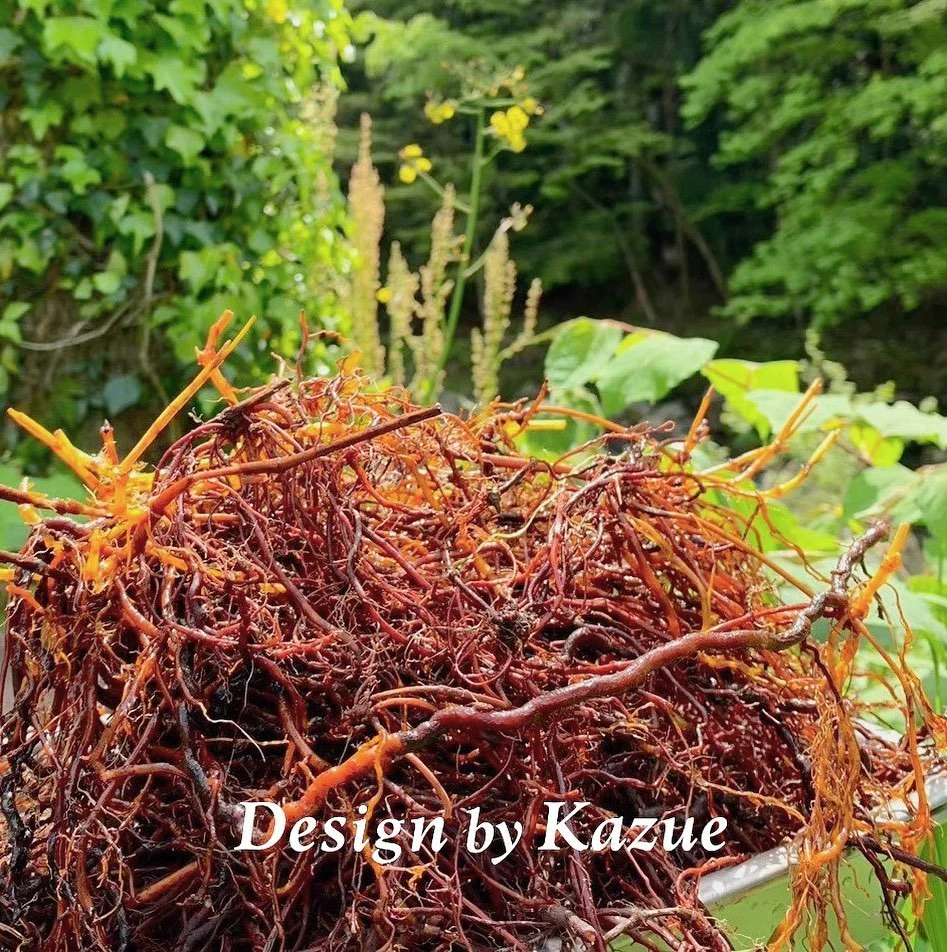 10月の【草木染め】【タッセルアクセサリー】【藍染め】ワークショップは、下記の日程でご参加いただけます。
10月8日(火)~ 16日(水)
※いずれも2名様から申し込み可。
※締め切りは2日前17時まで。
詳細・お申し込みはプロフィールページのURLからご覧ください。
場所📍すぎとやま神田アトリエ(徳島県勝浦郡上勝町旭字丸山20-1)
時間⏱1時間30分前後
【ランチのご予約も承ります!】
金曜日~日曜日にアトリエ内でオープンしている家庭料理の「せせらぎ食堂」でワークショップの前後に