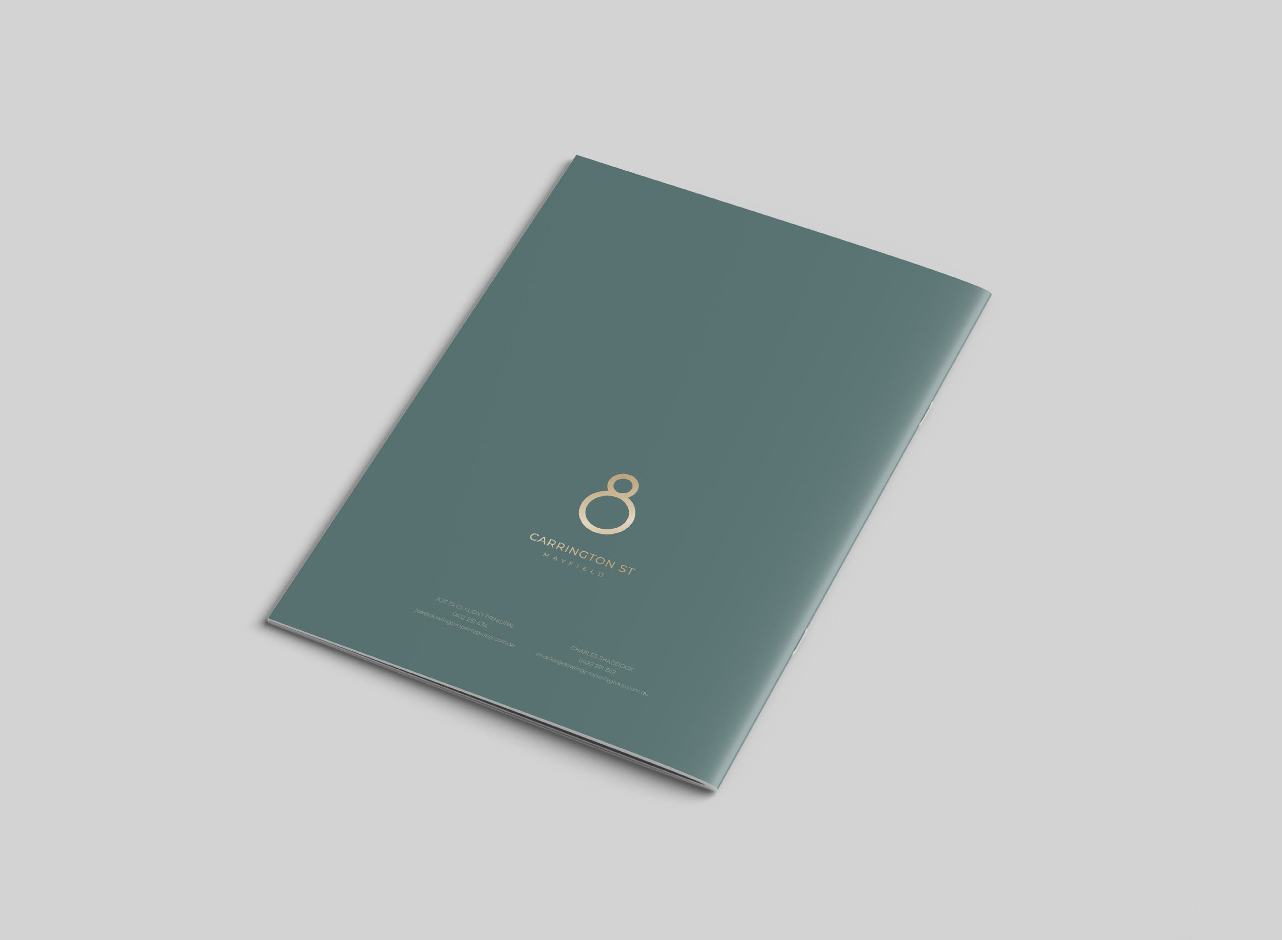 Carrington St Brochure2.jpg