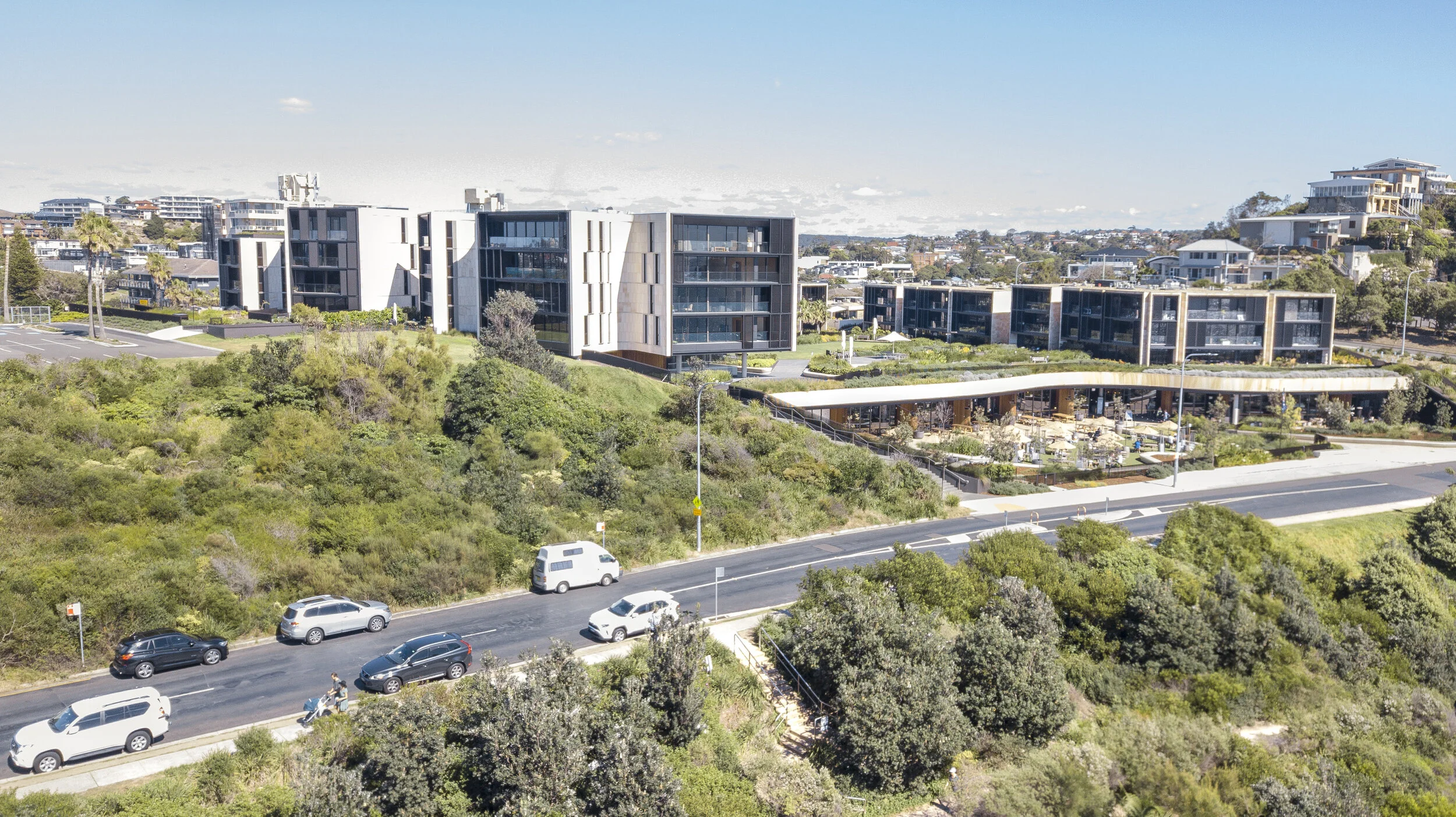 Harbord Diggers - CHROFI.jpg