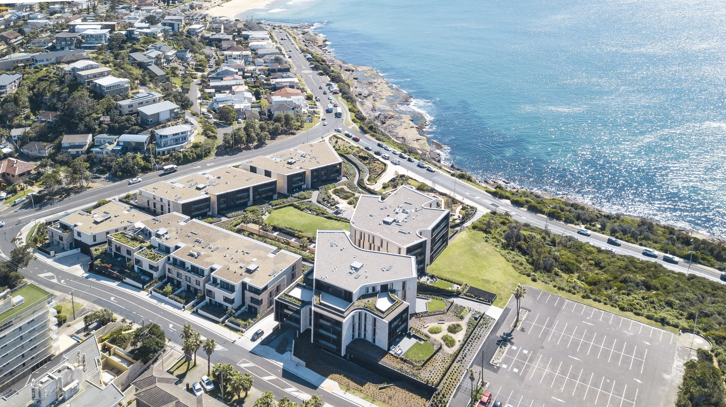 Harbord Diggers - CHROFI_4.jpg