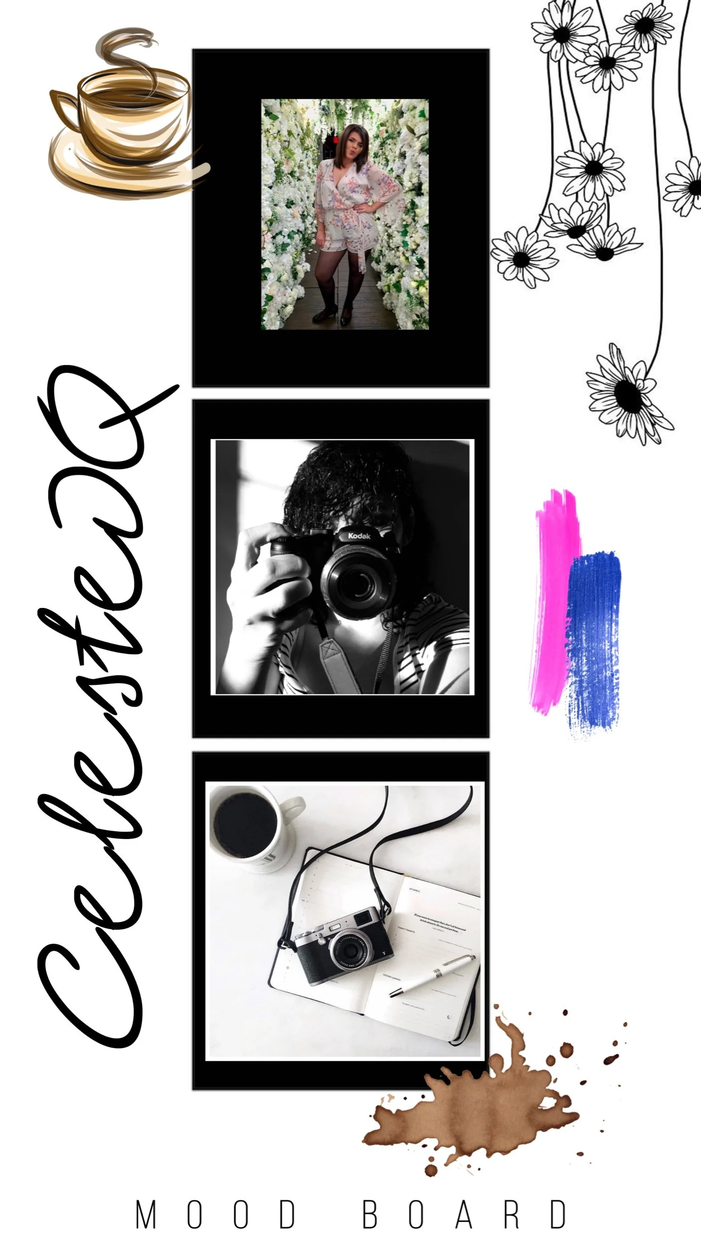 Celeste mood board .jpeg