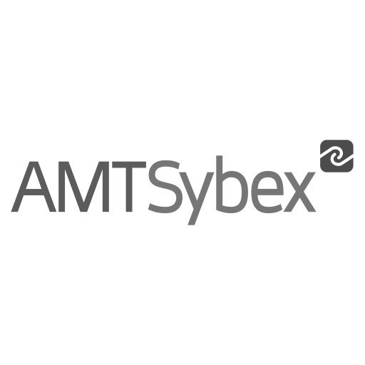 amt-sybex.jpg