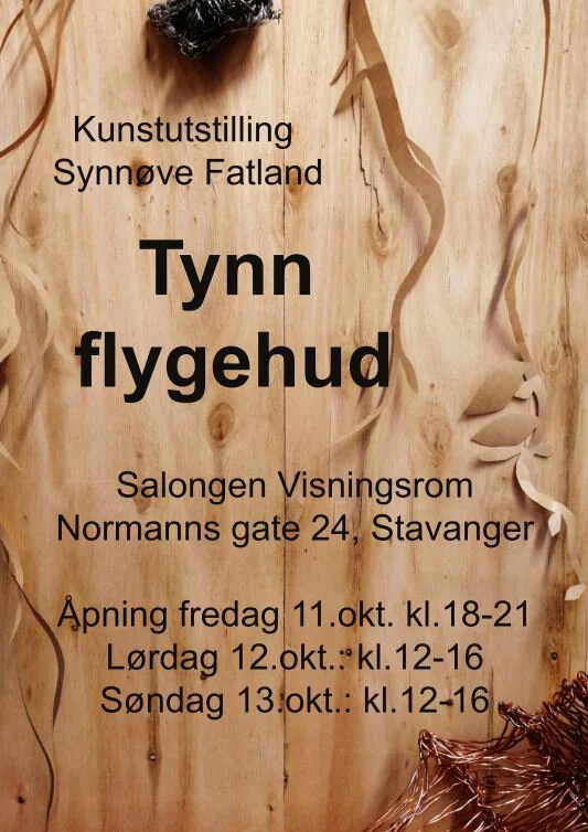Tynn flygehud a.jpg