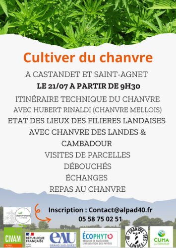 Cultiver du chanvre