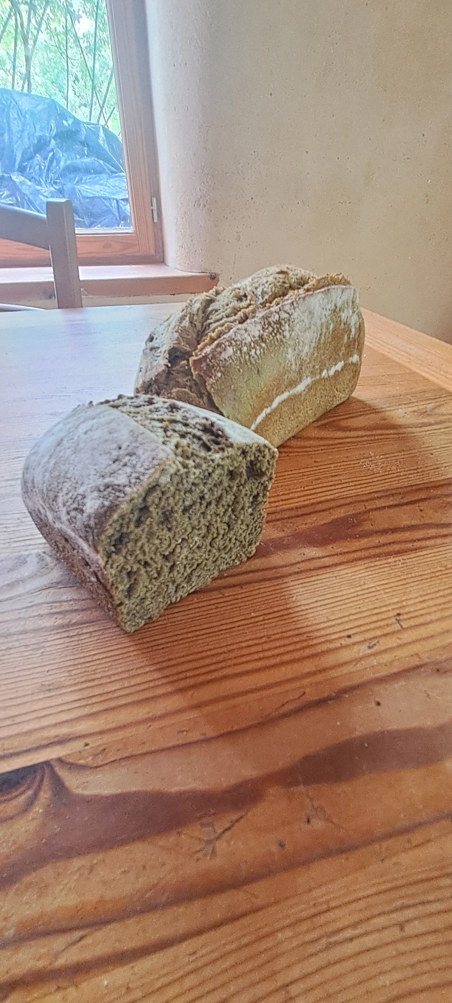 TESTS DE PAIN AU CHANVRE DANS LES ECOLES