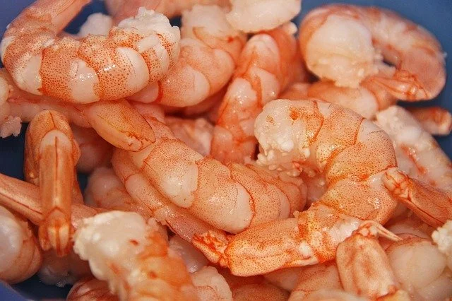 shrimp-3560003_640.jpg