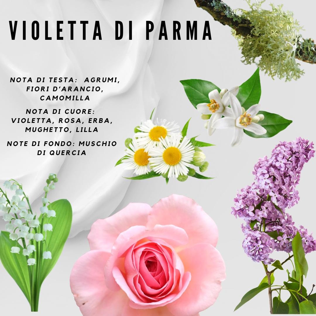 note violetta.jpeg