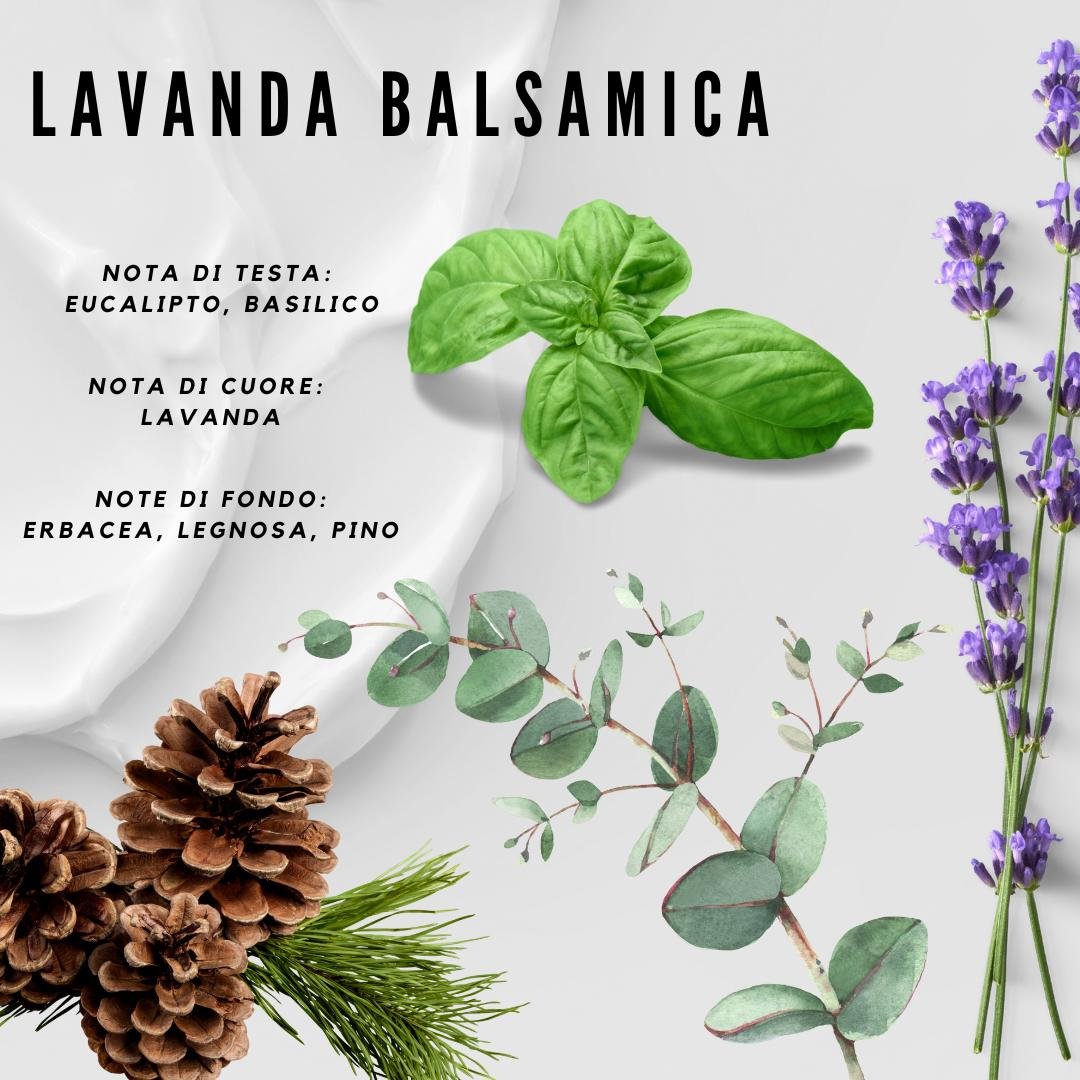 note lavanda.jpeg