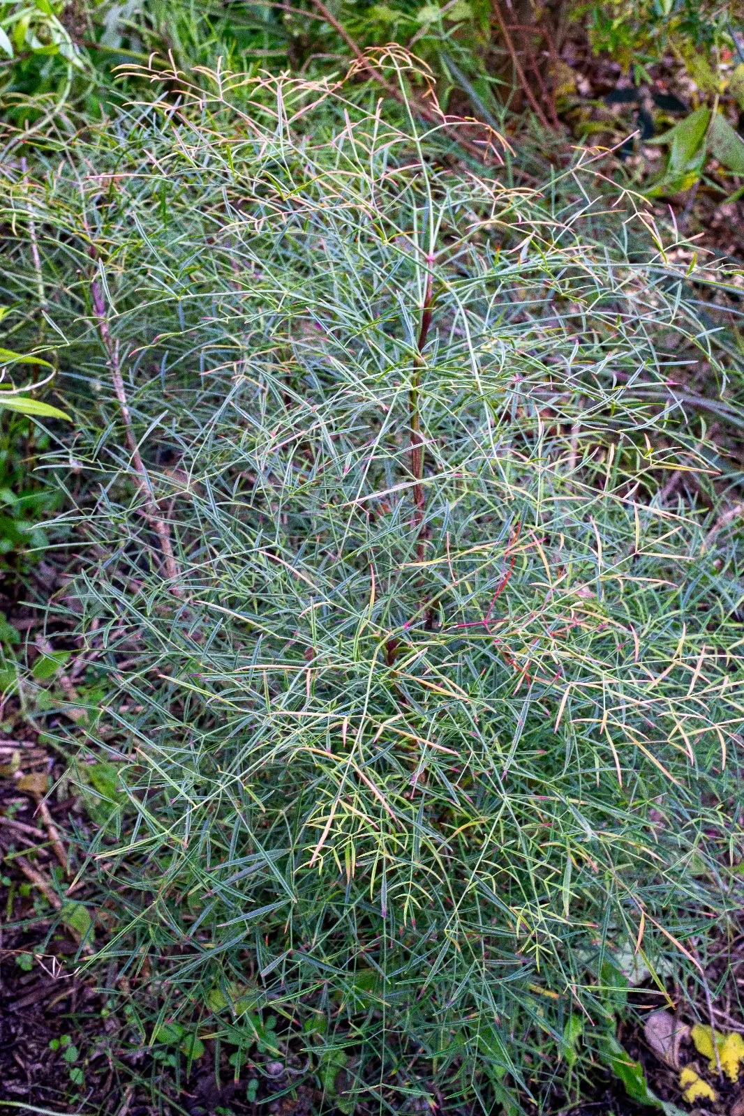 WhatsApp Image 2024-12-13 at 12.58.48.jpeg