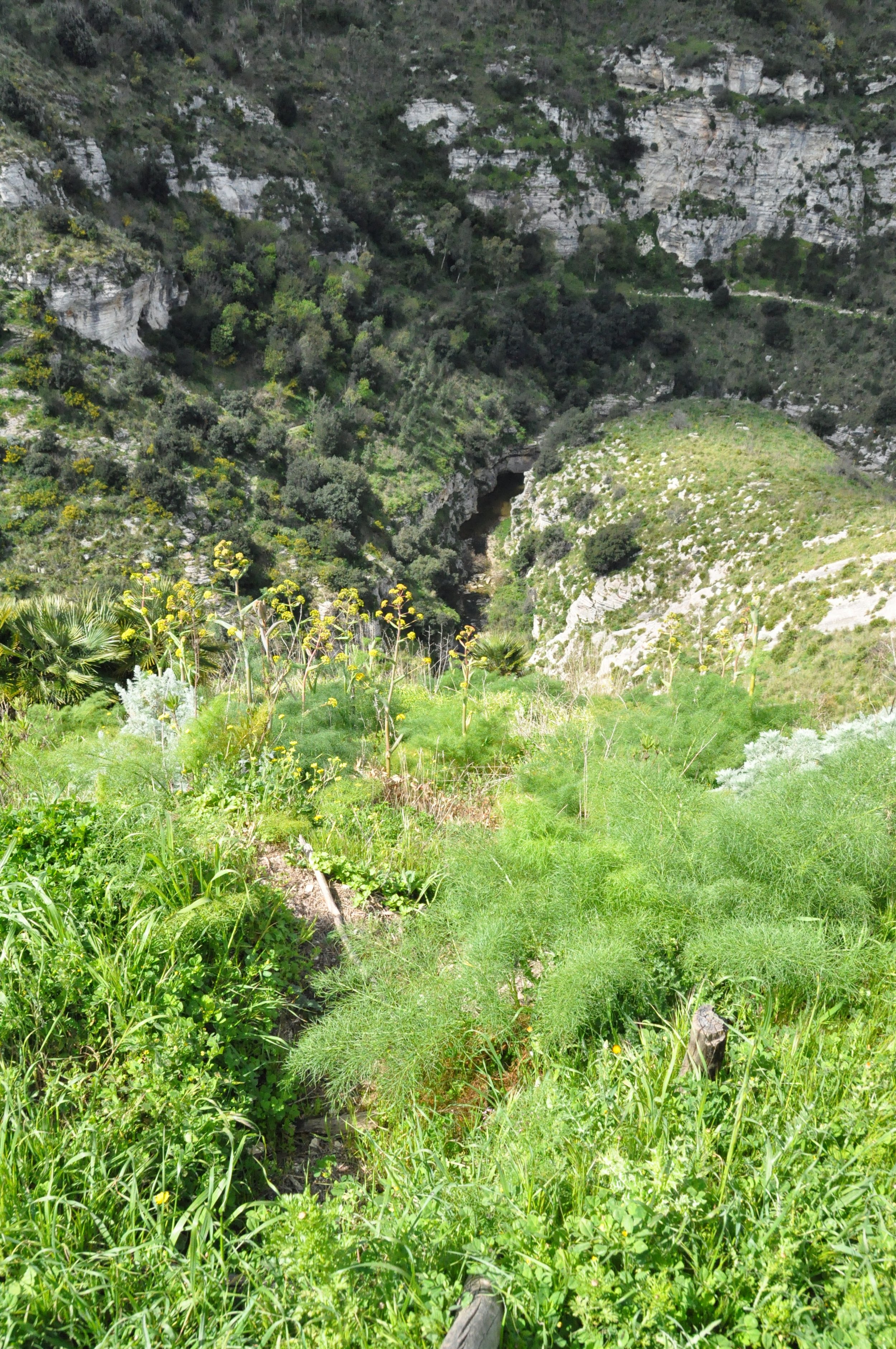 DSC_0678.JPG
