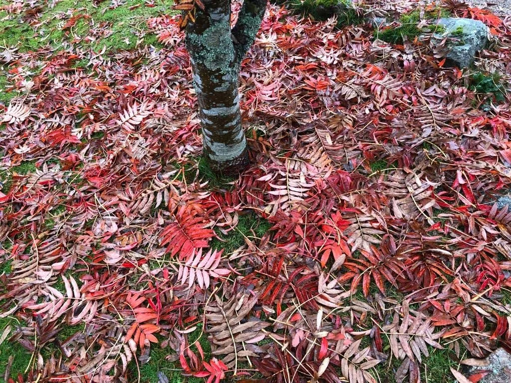 1c921283-8b05-40c2-a3d8-1b0f49030337 (1).jpg