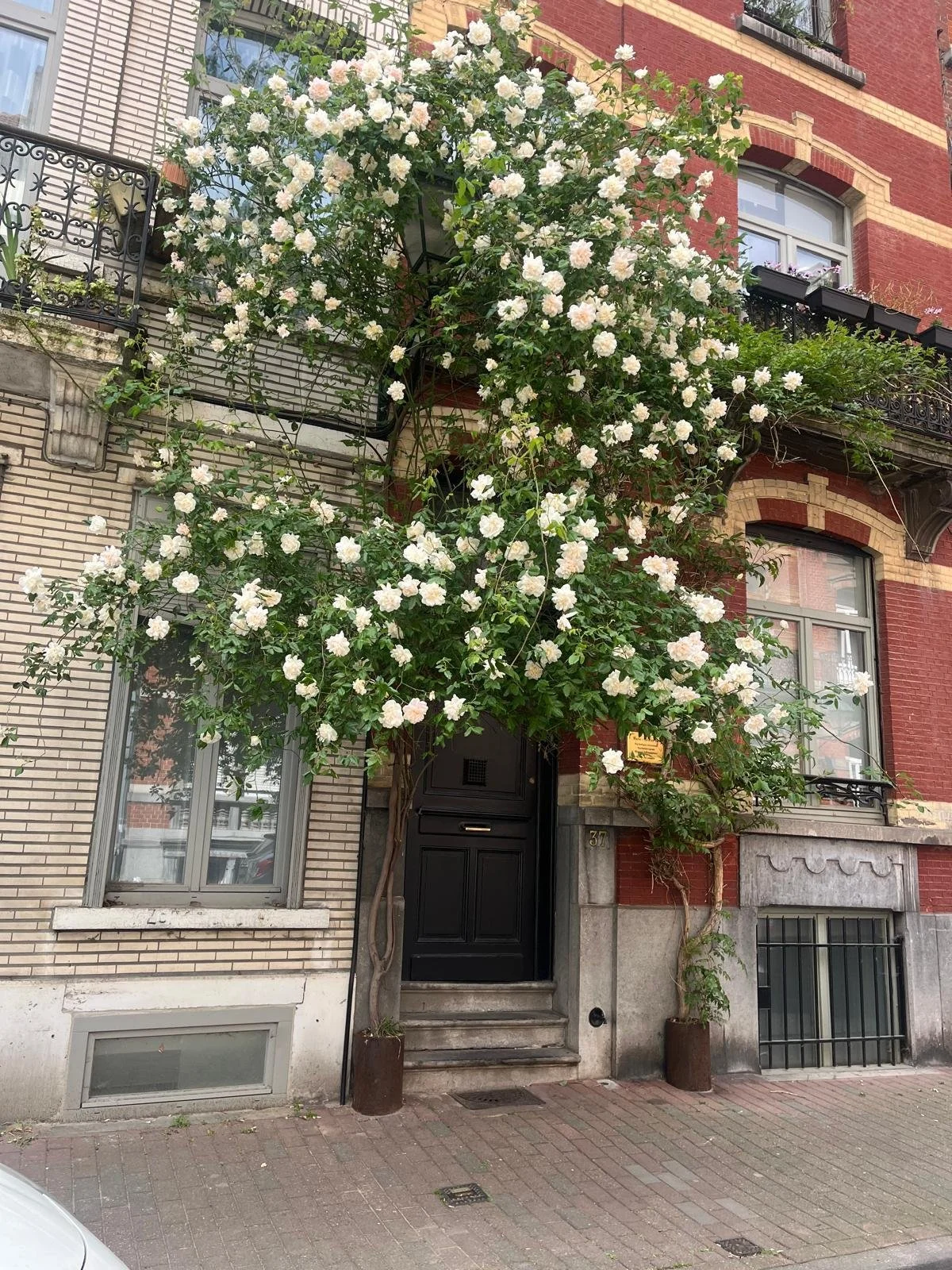 A l’assaut des façades