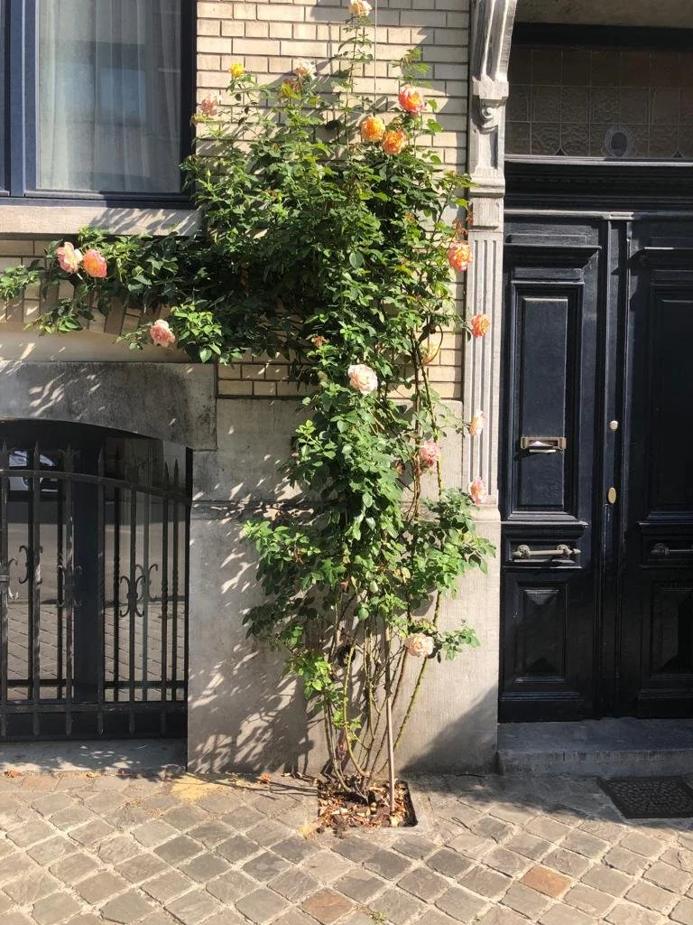 PHOTO-2022-07-02-00-50-04 5.jpg