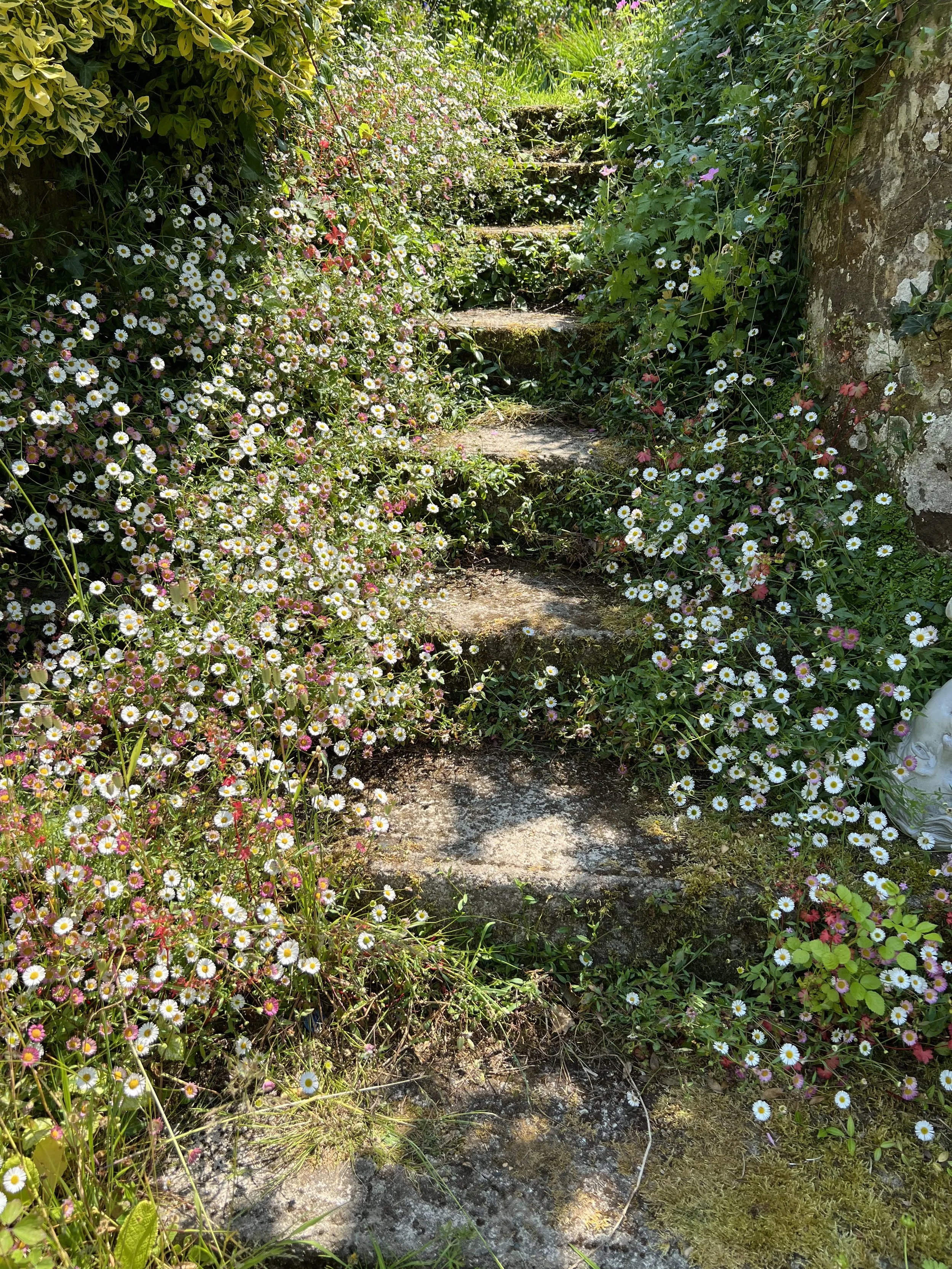 Un escalier végétalisé