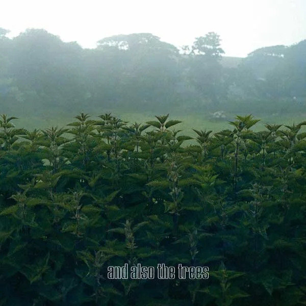 1---and-also-the-trees-REISSUE-.jpg