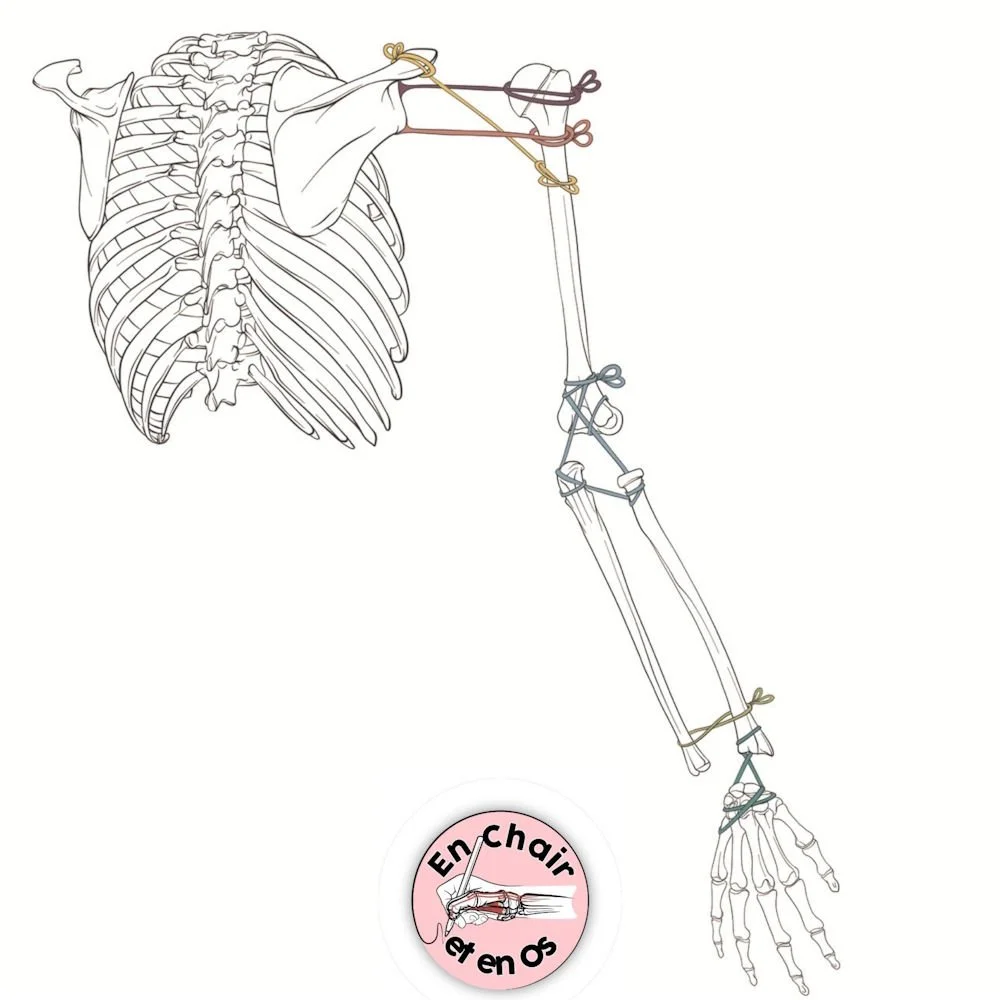 IMG_0880.psd (2).jpg