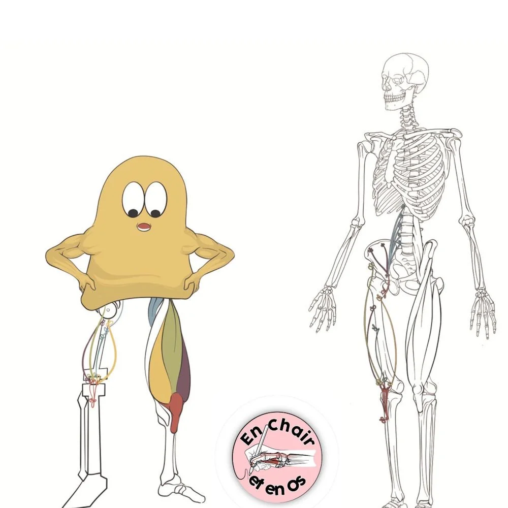 IMG_0880.psd (1).jpg