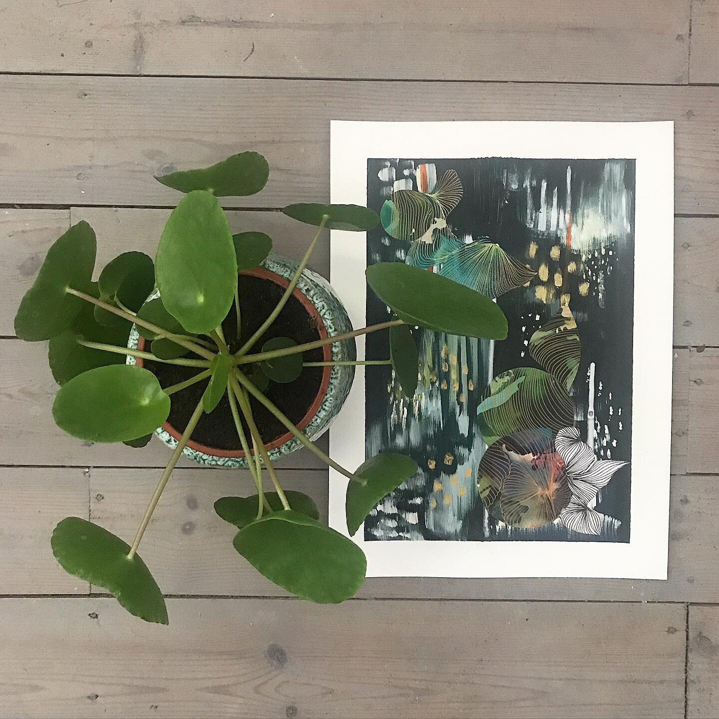 Inspirations &amp; Paintings sitting alongside each other. Thank you to @canopyplants for the gorgeous Pilea 🌱