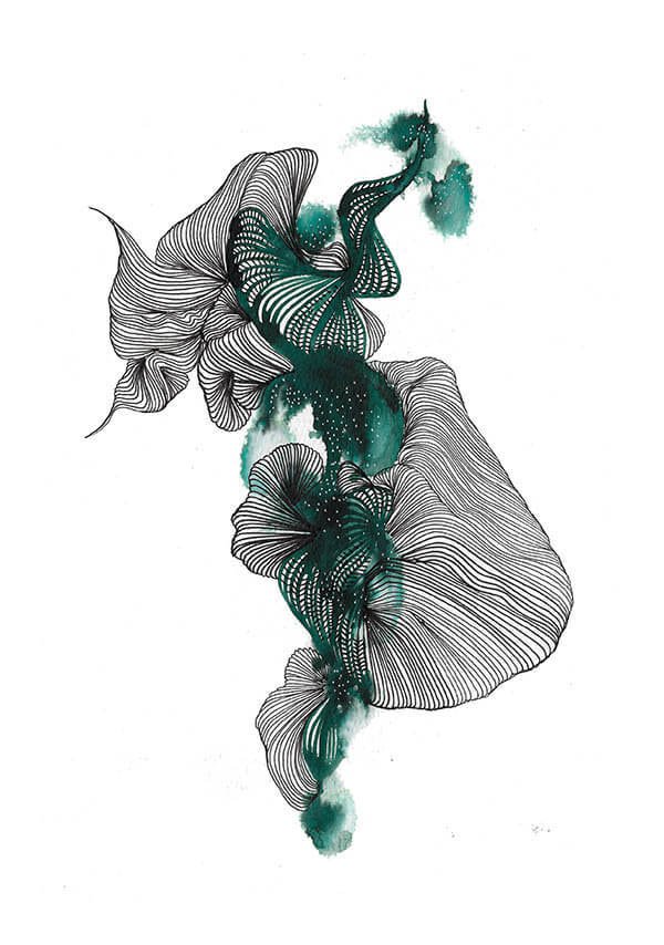 Ivy