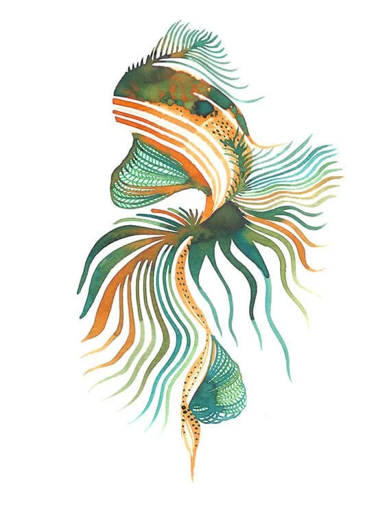 Sedna