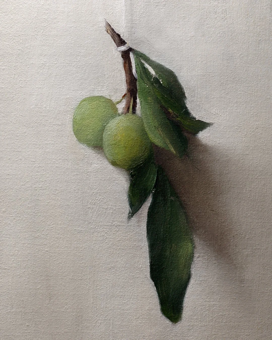 green-plums.jpg