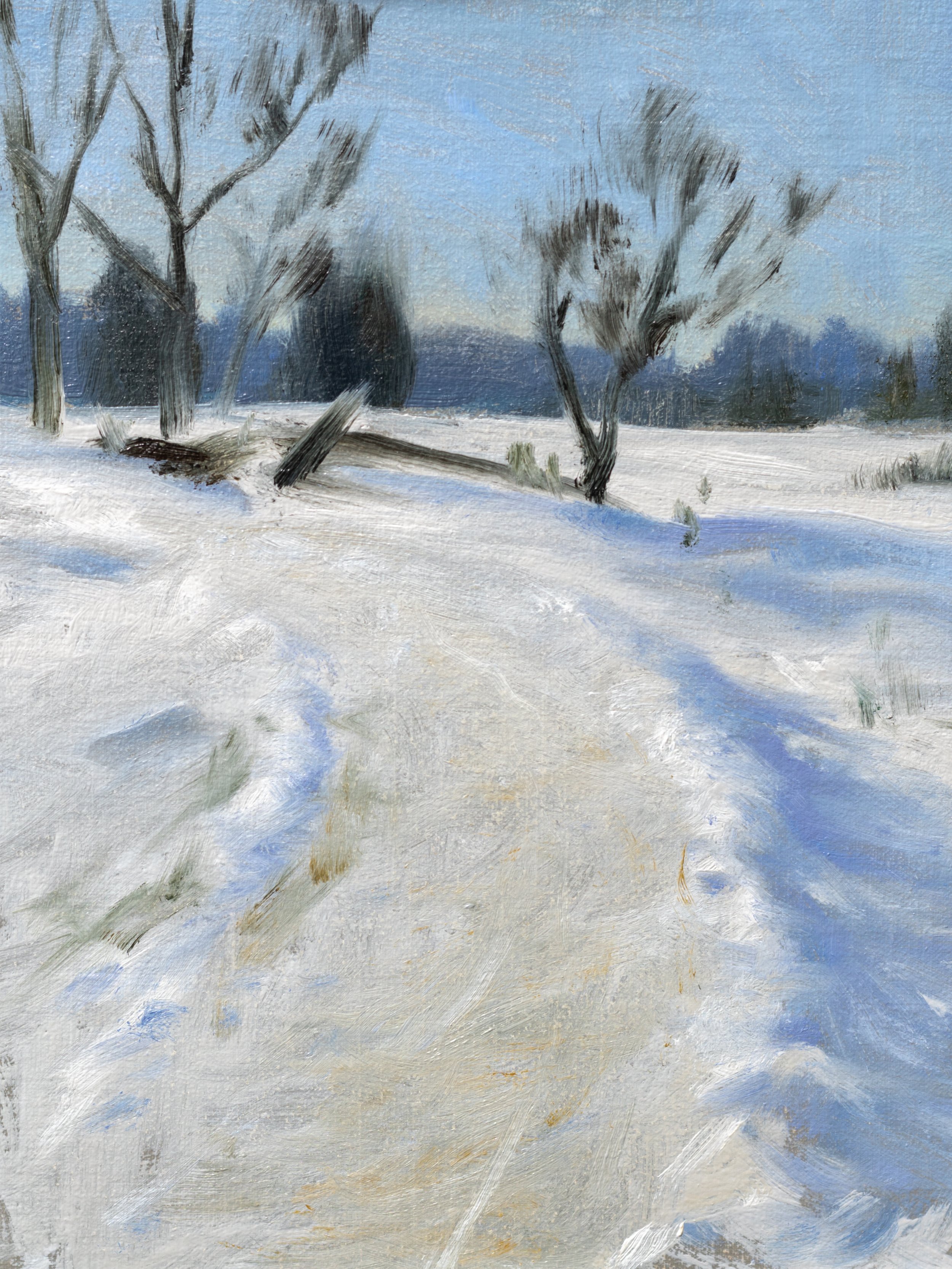 snowy trail