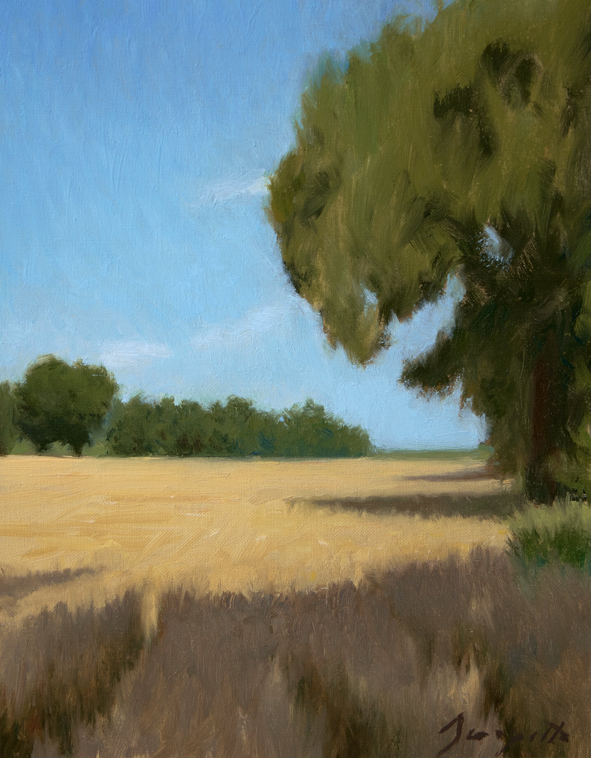 Wheat Fields in June