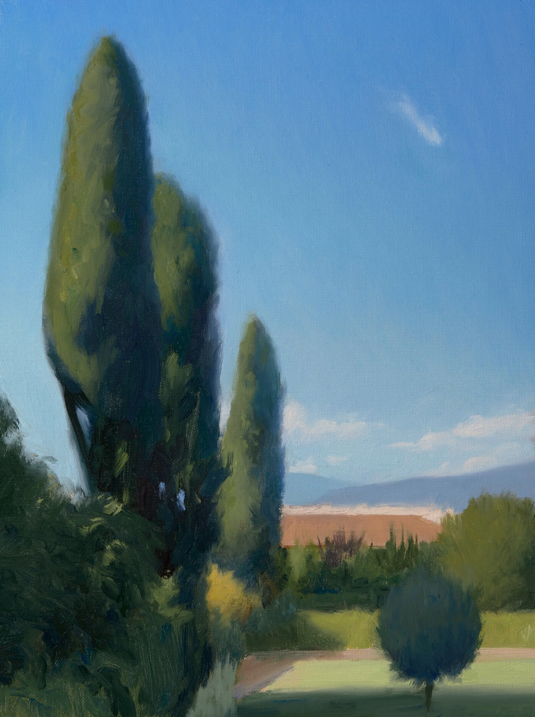 View from the rose garden, Florence