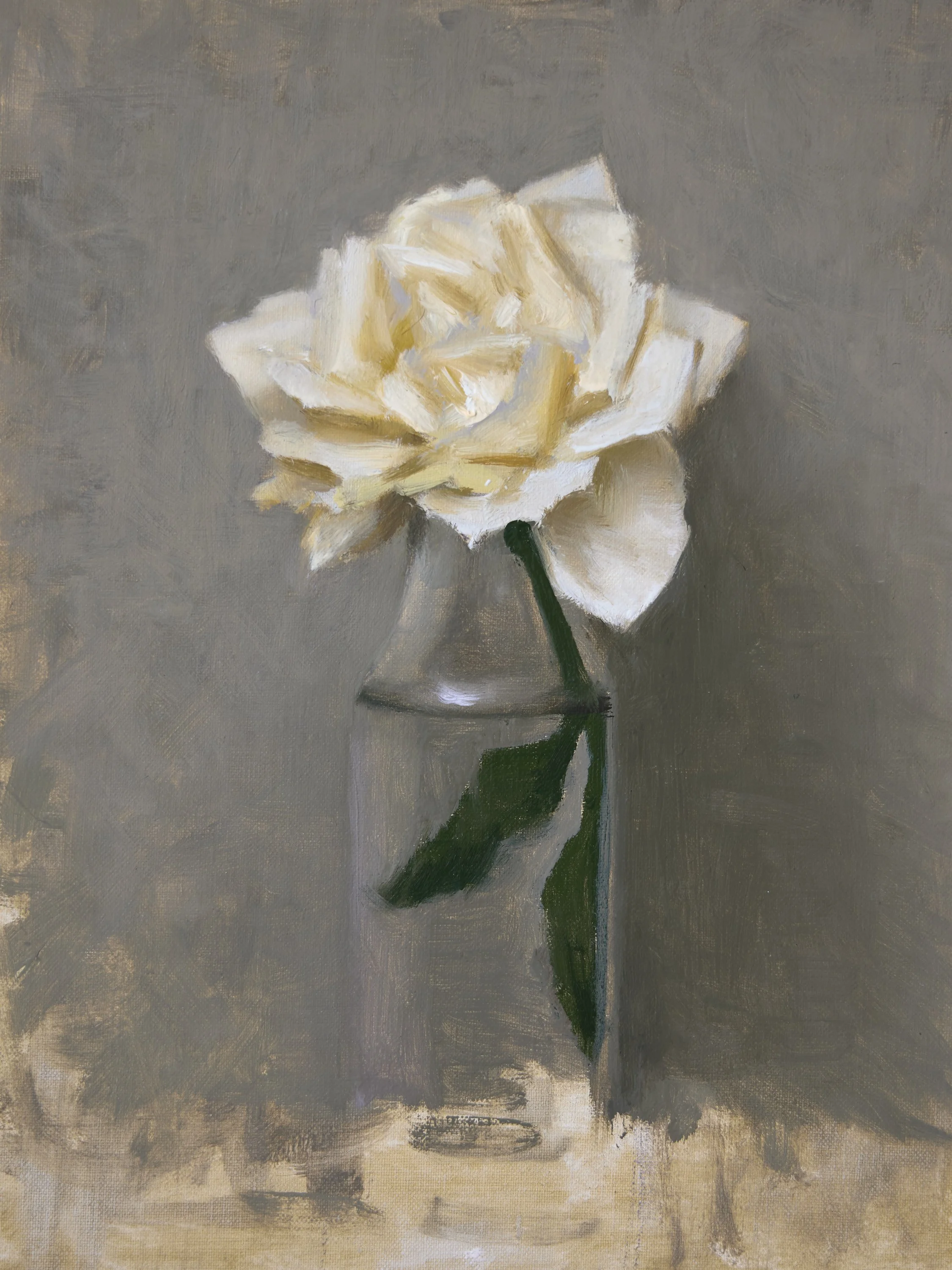 White rose 1.jpg