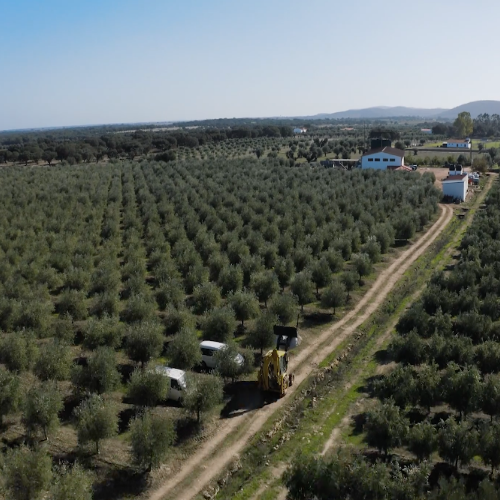 Screenshot 2020-04-30 15.35.40.png