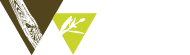 logo_Vineves.png