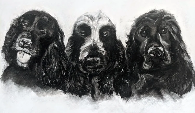 Charcoal portrait of three spaniels